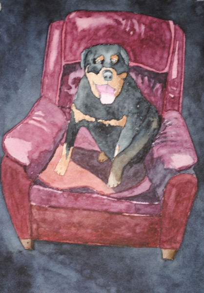 dixie by sherman barnes