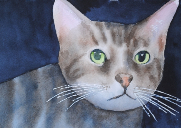 cat3 by sherman barnes