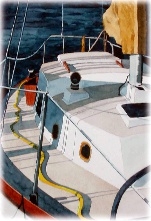 susan's big boat by sherman barnes