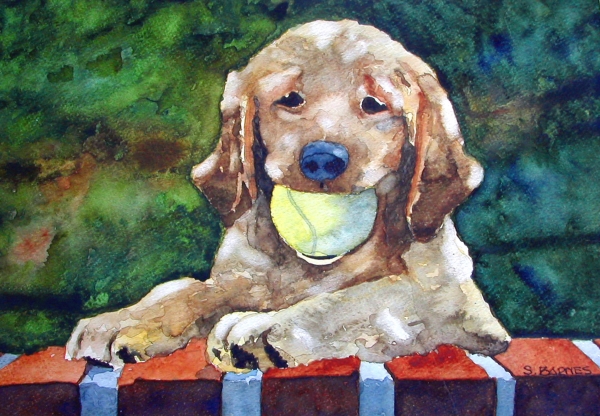 rufus by sherman barnes