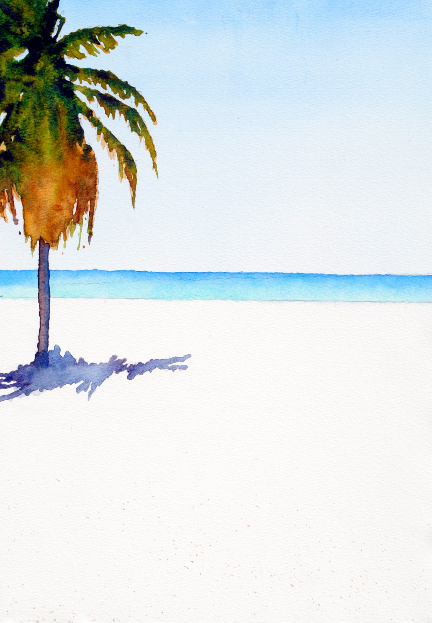 palm tree by sherman barnes